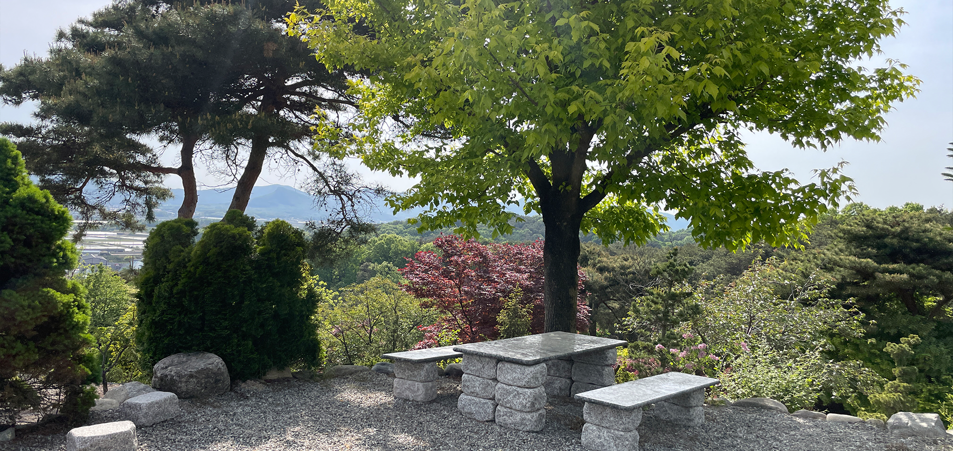 리빙쉘